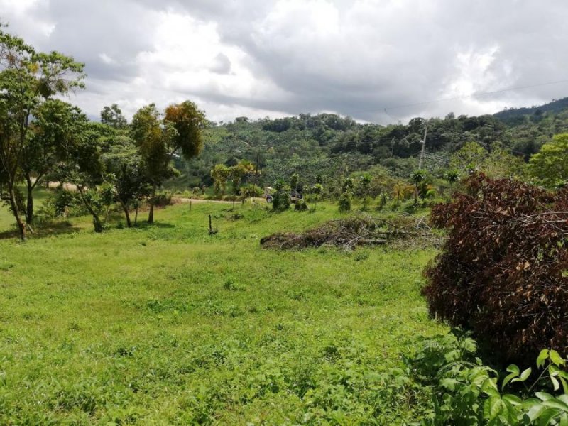 Terreno en Venta en Tirrá de Rivas Pérez Zeledón, San José