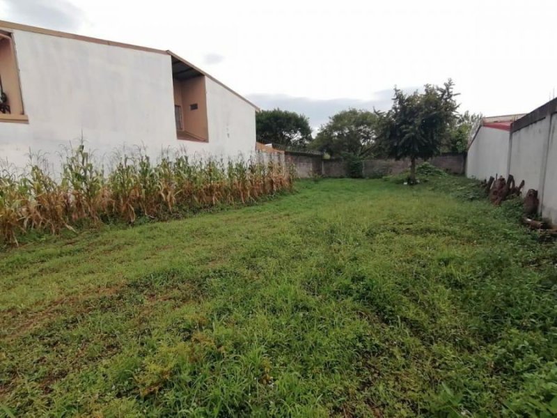 Foto Terreno en Venta en Alajuela, Alajuela - U$D 62.500 - TEV35046 - BienesOnLine