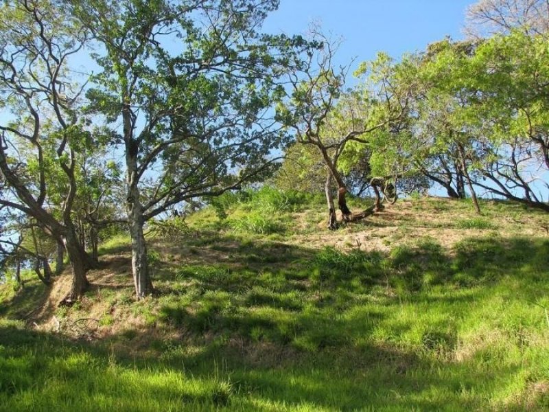 Foto Terreno en Venta en San José, San José - U$D 699.000 - TEV35454 - BienesOnLine