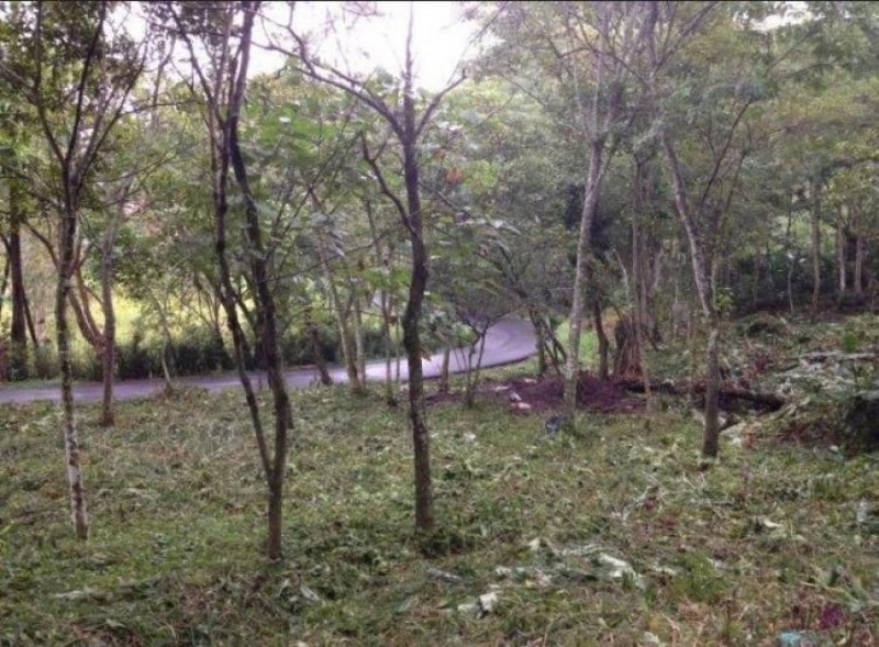 Foto Terreno en Venta en Escazú, San José - U$D 87.500 - TEV34894 - BienesOnLine