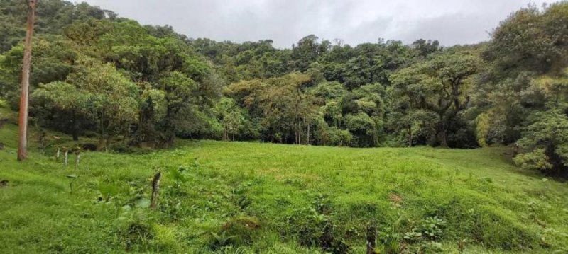 Foto Terreno en Venta en San José, San José - U$D 114.000 - TEV35028 - BienesOnLine