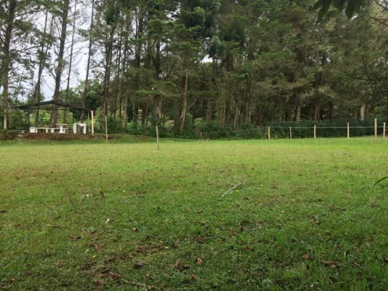 Foto Terreno en Venta en Dota, San José - U$D 25.000 - TEV34884 - BienesOnLine