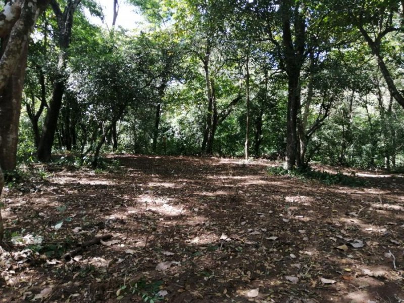 Terreno en Venta en el Obispo Mansión de nicoya, Guanacaste