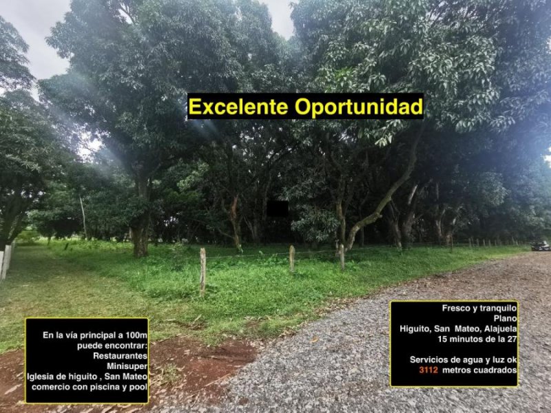 Terreno en Venta en Higuito San Mateo, Alajuela