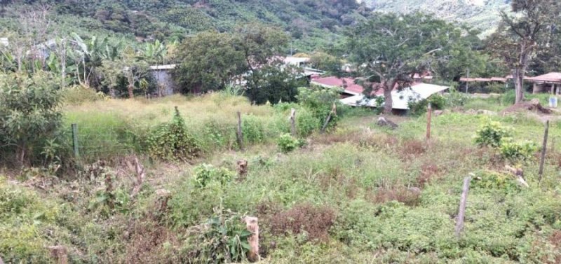 Terreno en Venta en  Dota, San José