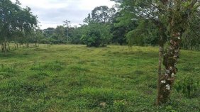 Terreno en Venta en HORQUETAS SARAPIQUI Sarapiquí, Heredia