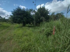 Terreno en Venta en LA TIGRA SAN CARLOS San Carlos, Alajuela