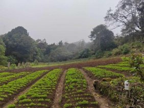 Finca en Venta en DOTA SAN JOSE Dota, San José