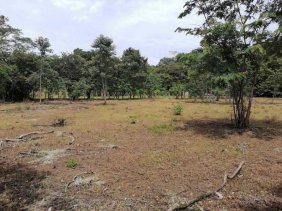 Terreno en Venta en CARRILLO GUANACASTE Carrillo, Guanacaste