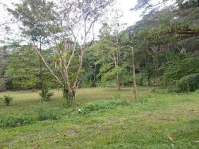 Terreno en Venta en TARCOLES GARABITO Garabito, Puntarenas