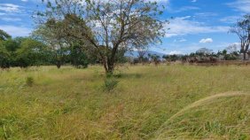 Terreno en Venta en DESAMPARADOS ALAJUELA Desamparados, Alajuela