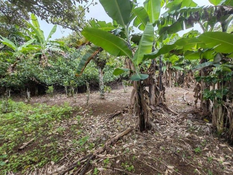 MLS-25-402 LS VENTA LOTE DE SAN RAFAEL HEREDIA