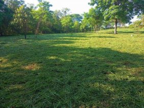Terreno en Venta en OROTINA ALAJUELA Orotina, Alajuela