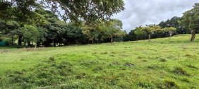 Terreno en Venta en SAN RAFAEL HEREDIA San Rafael, Heredia