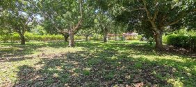 Terreno en Venta en OROTINA ALAJUELA Orotina, Alajuela
