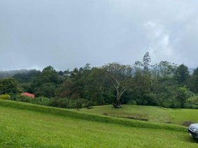 Terreno en Venta en POAS ALAJUELA Poás, Alajuela