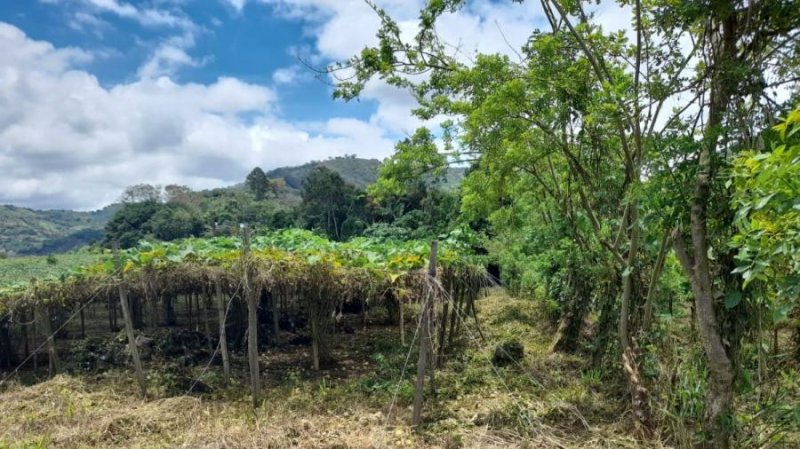 Terreno en Venta en Ajenjal Paraíso, Cartago
