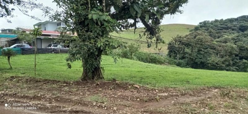 Terreno en Venta en Los Ángeles San Ramón, Alajuela