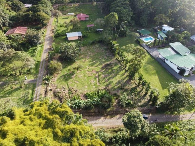 Foto Terreno en Venta en Buenos Aires, Buenos Aires, Limón - ¢ 32.000.000 - TEV41223 - BienesOnLine