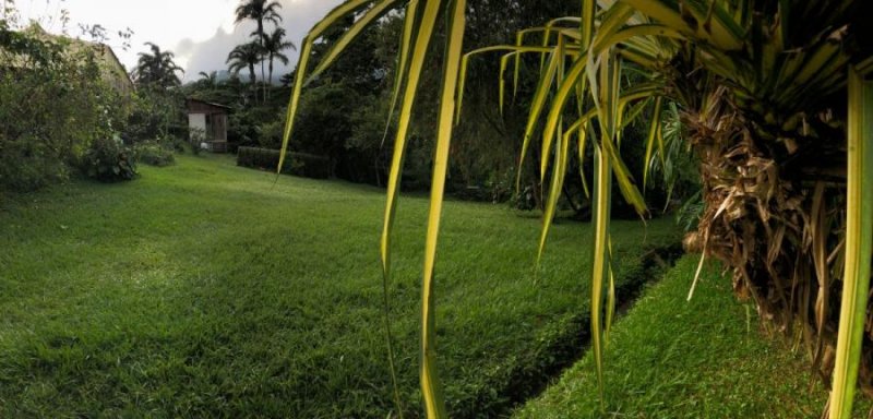 Terreno en Venta en zaragoza Palmares, Alajuela