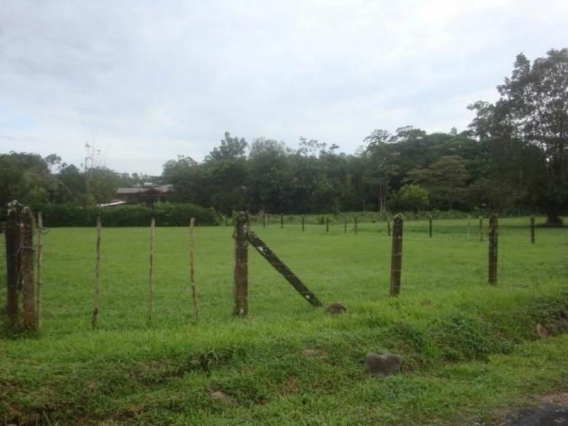 Foto Terreno en Venta en Pococí, Limón - U$D 45.000 - TEV31681 - BienesOnLine