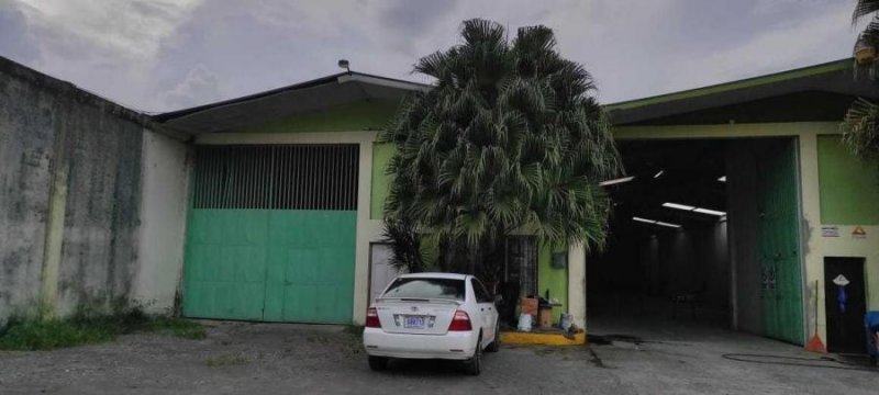 Foto Local en Alquiler en Pococí, Limón - U$D 2.100 - LOA31420 - BienesOnLine