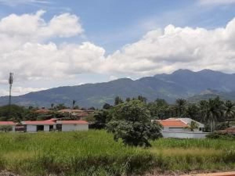 Foto Terreno en Venta en San José, San José - U$D 300.002 - TEV33579 - BienesOnLine