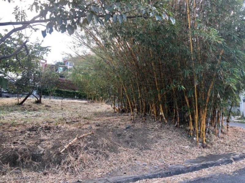 Foto Terreno en Venta en San José, San José - U$D 122.000 - TEV34161 - BienesOnLine