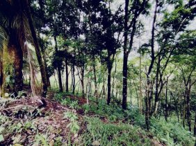 Terreno en Venta en TRES RIOS, OSA Quepos, Puntarenas