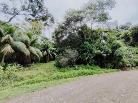 Terreno en Venta en TRES RIOS, OSA Quepos, Puntarenas