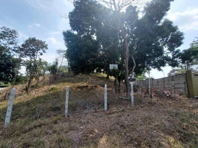 Se vende amplio lote con mas de 1,400m2 en Turrucares Alajuela 25-1725