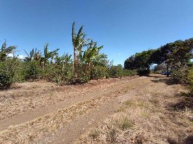 Terreno en Venta en  Santo Domingo, Heredia