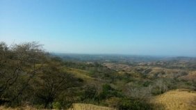 Finca en Venta en San Lorenzo San Ramón, Alajuela