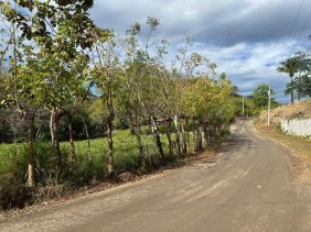 Terreno en Venta en  Hojancha, Guanacaste