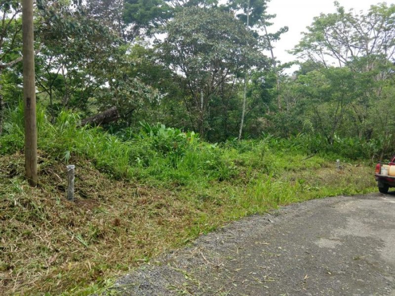 Terreno en Venta en 4a Pavon Golfito, Puntarenas