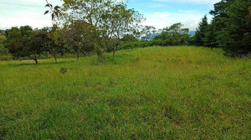 Terreno en Venta en Piedades Sur San Ramón, Alajuela