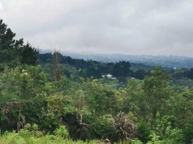 Se vende lote de 7300m2 en Puraba de Santa Barbara 23-874