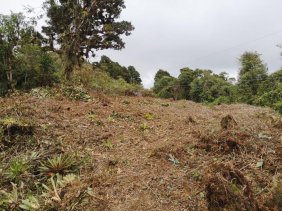 Terreno en Venta en San Isidro Vara del Roble, Cartago