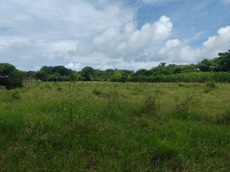 Terreno en Venta en  Cobano, Puntarenas