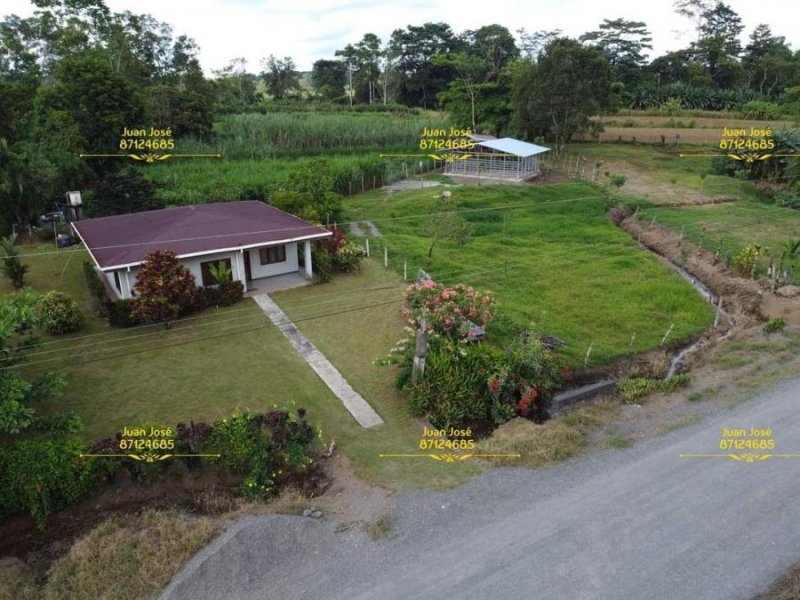 Foto Finca en Venta en Santa ROSA, Pococí, Limón - ¢ 43.000.000 - FIV41222 - BienesOnLine