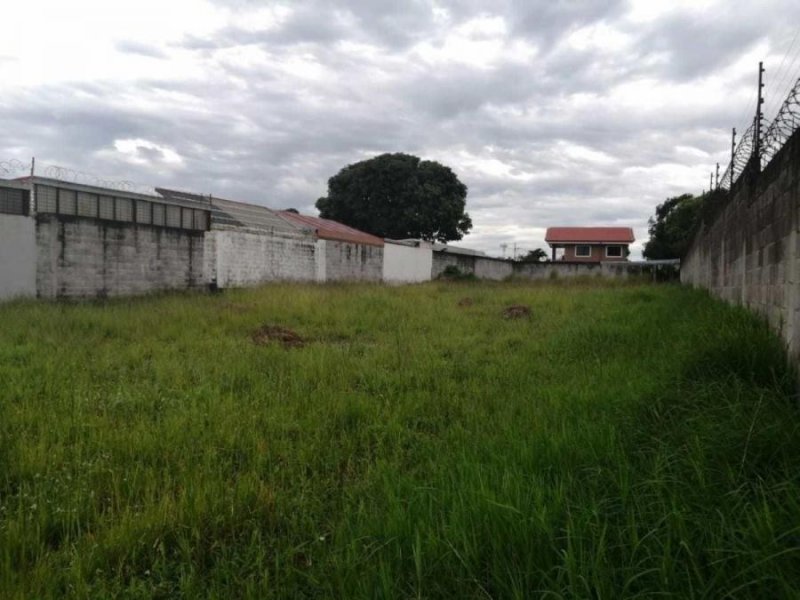 Terreno en Venta en  Alajuela, Alajuela