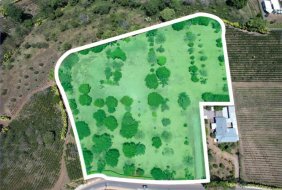 Terreno en Venta en  Grecia, Alajuela