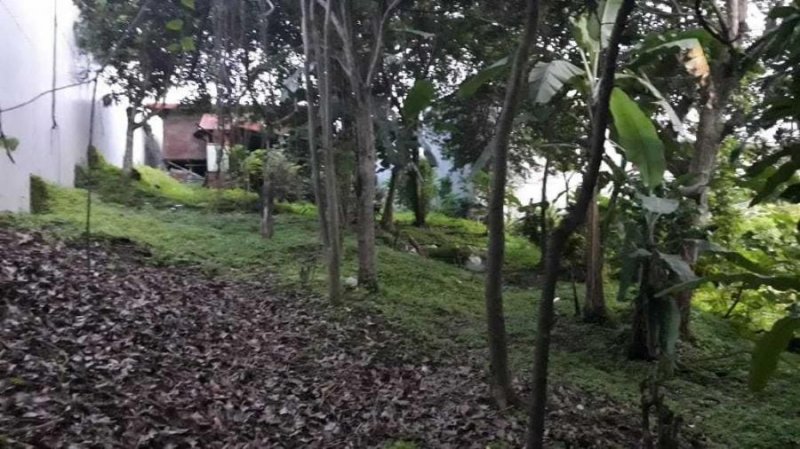 Terreno en Venta en  Guadalupe, San José