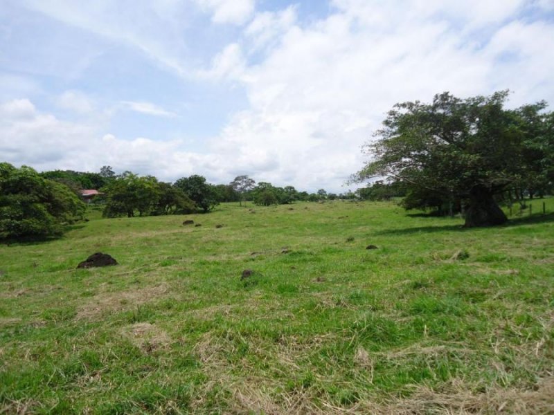 Terreno en Venta en  Garita, Alajuela