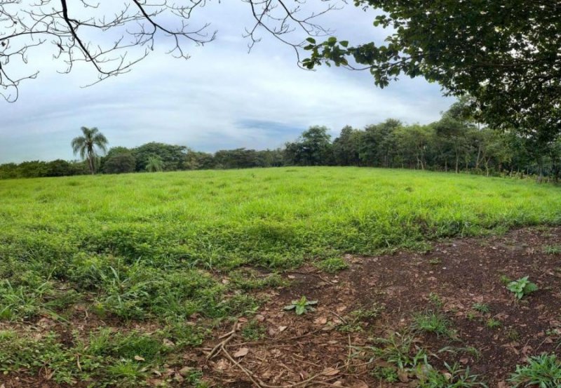 Terreno en Venta en  Orotina, Alajuela