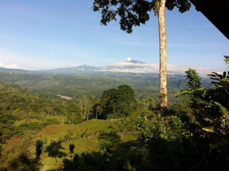 Terreno en Venta en  Siquirres, Limón