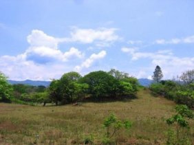 Terreno en Venta en Turrucares Alajuela, Alajuela