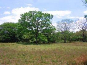 Terreno en Venta en Turrucares Alajuela, Alajuela