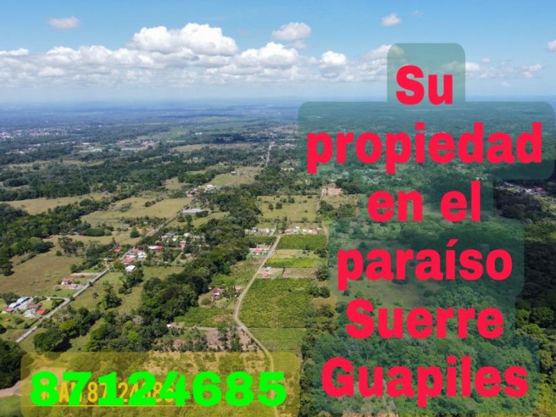 Foto Finca en Venta en Suerre, Limón - ¢ 29.000.000 - FIV55456 - BienesOnLine