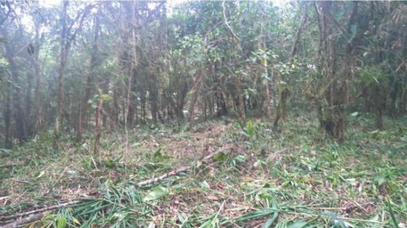 Terreno en Venta en Tinamaste San Isidro de El General, San José